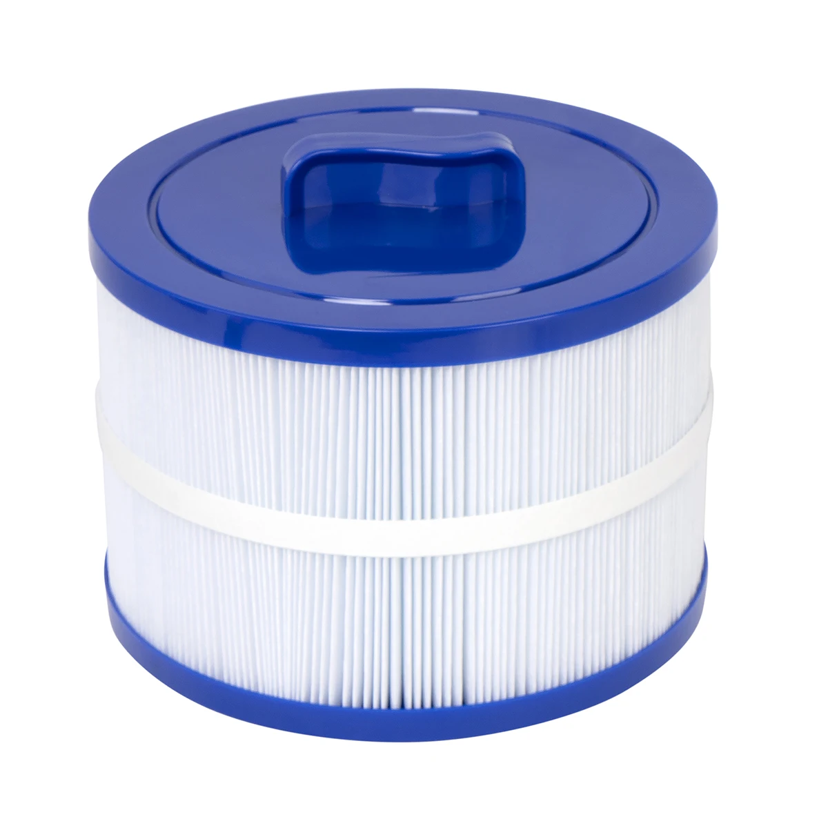 Cartucho de filtro para spa 8C - Spa & Wellness Dr Roy Sothers reseña y precio